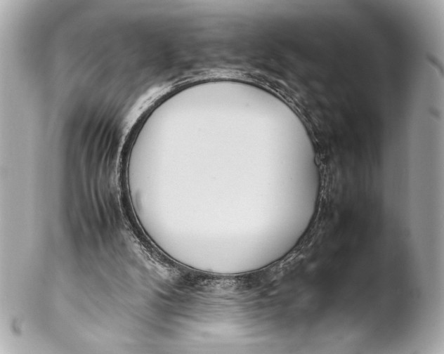 X0000102260104200808151850