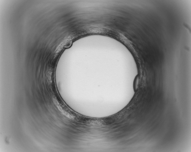 X0000102260106200808151850