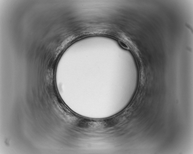 X0000102260107200808151850
