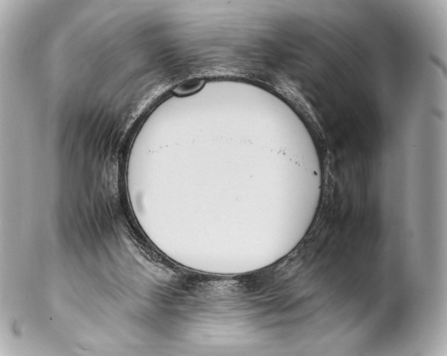 X0000102260108200808151850
