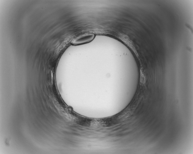 X0000102260109200808151850