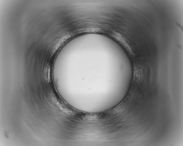 X0000102260110200808151850