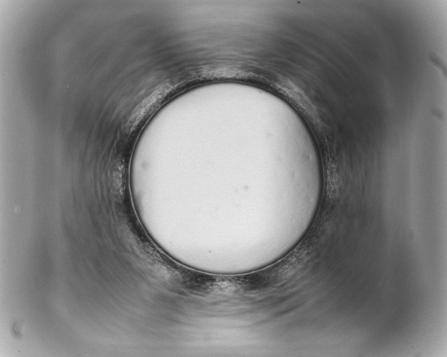 X0000102260111200808151850