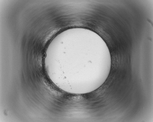 X0000102260112200808151850