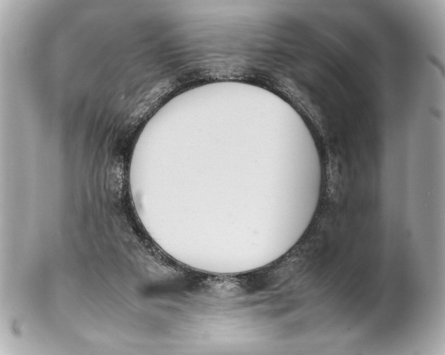 X0000102260113200808151850