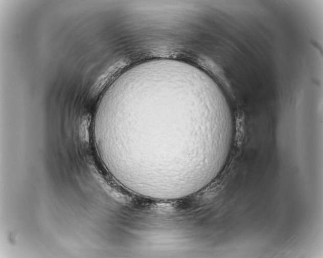 X0000102260114200808151850