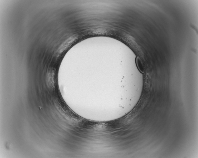 X0000102260116200808151850