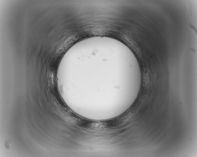 X0000102260117200808151850