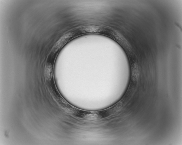 X0000102260119200808151849