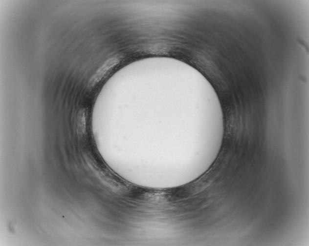 X0000102260120200808151849