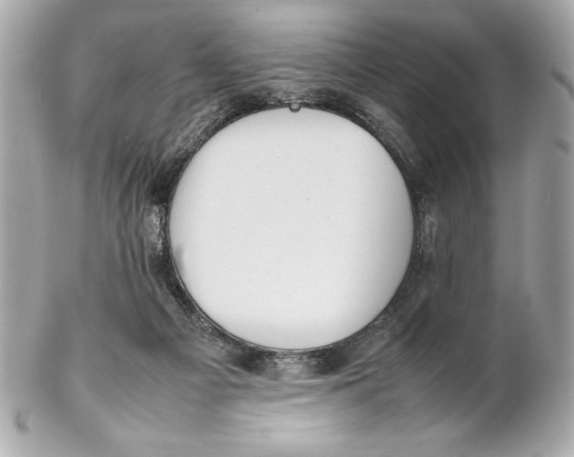 X0000102260121200808151849