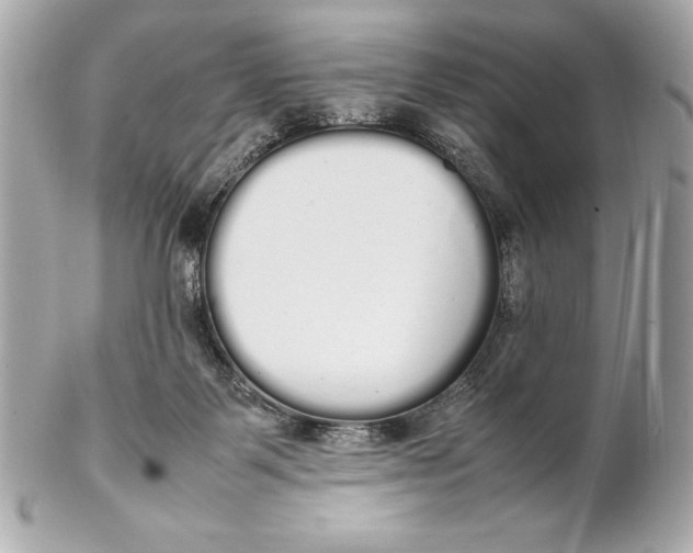 X0000102260123200808151849
