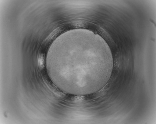 X0000102260124200808151849