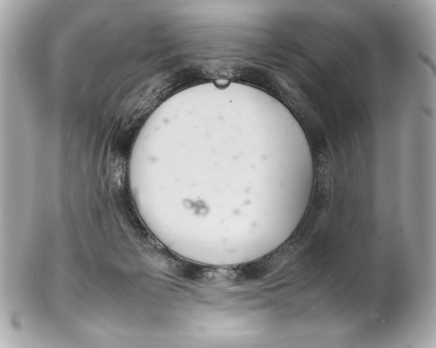 X0000102260125200808151849