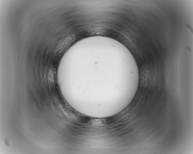 X0000102260126200808151849