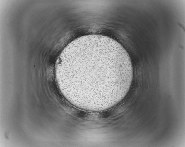 X0000102260127200808151849