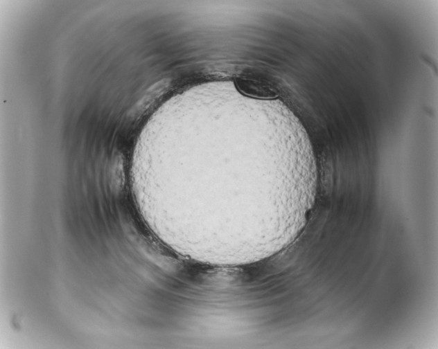 X0000102260128200808151849