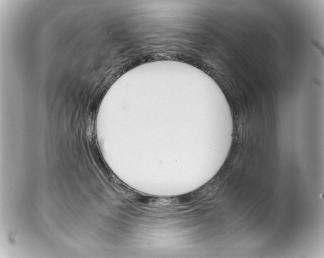 X0000102260129200808151849