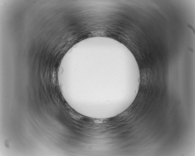 X0000102260130200808151849