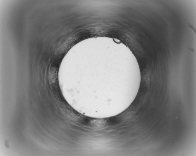 X0000102260133200808151849