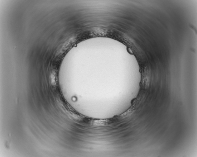 X0000102260134200808151849