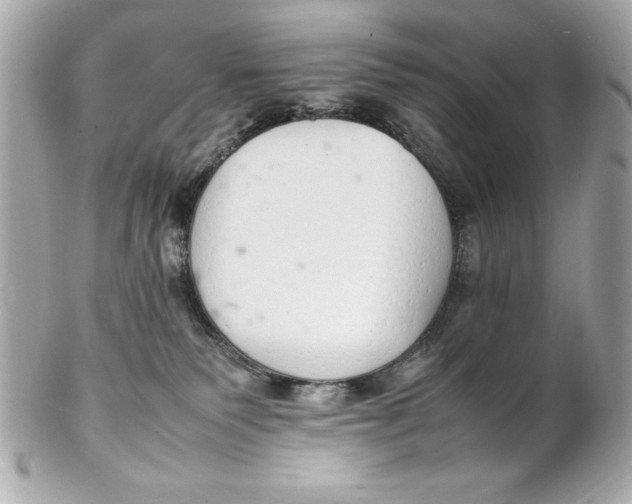 X0000102260135200808151849