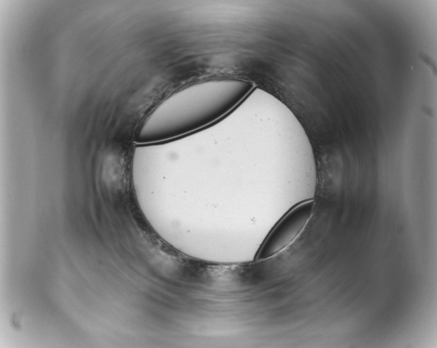 X0000102260136200808151849