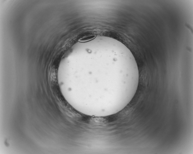 X0000102260137200808151849