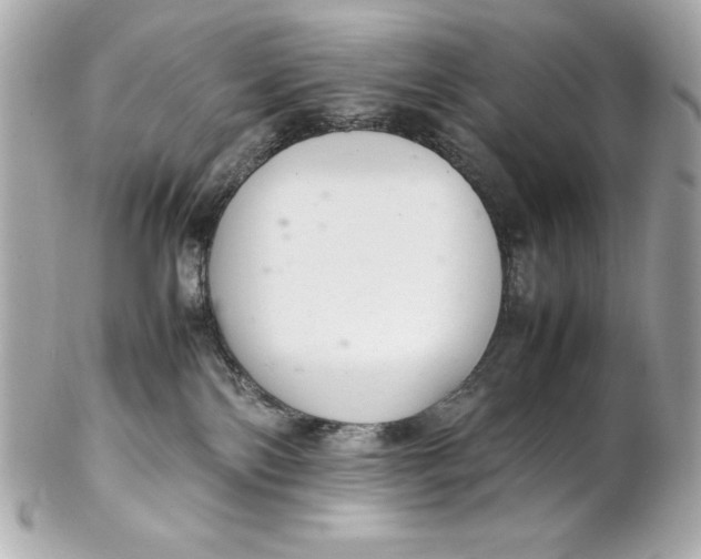 X0000102260138200808151849