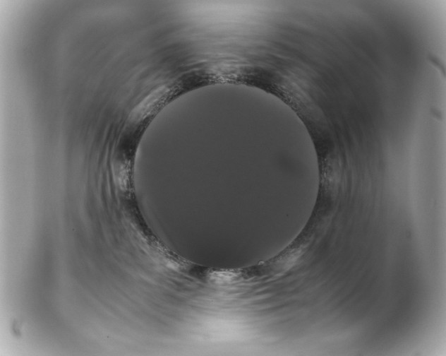 X0000102260139200808151849