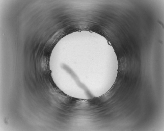 X0000102260140200808151849