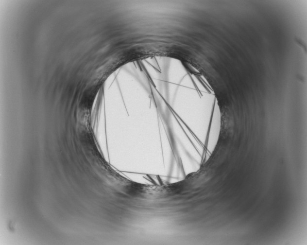 X0000102260141200808151849
