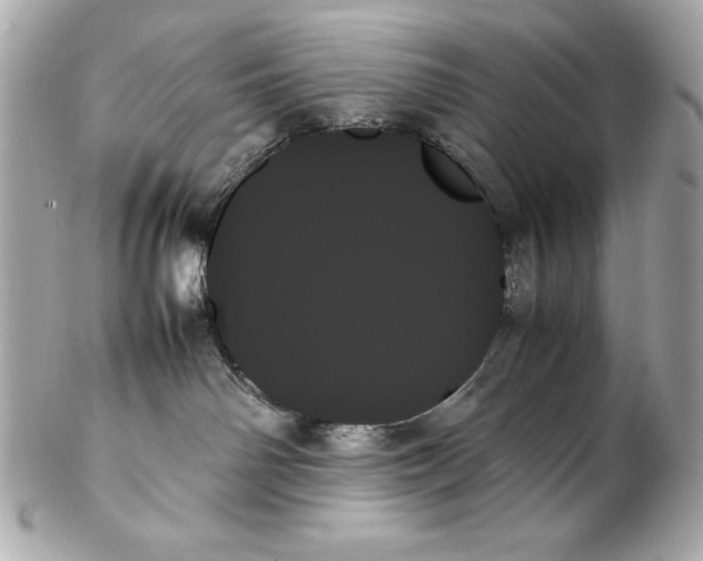 X0000102260142200808151849