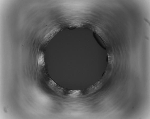 X0000102260143200808151849