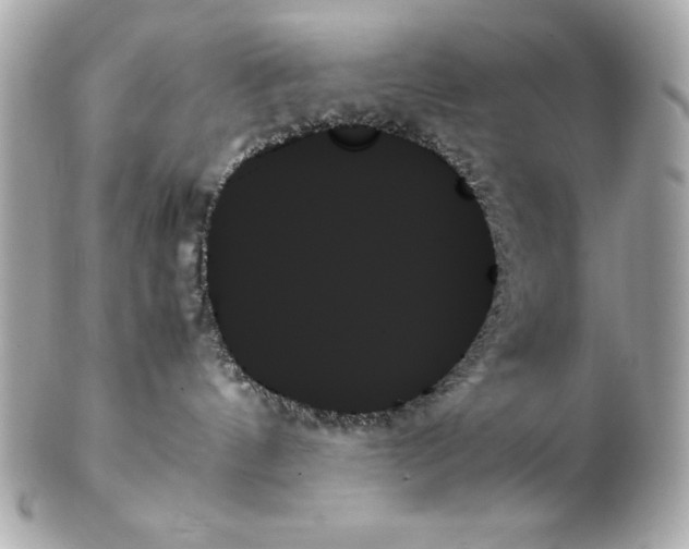 X0000102260144200808151849