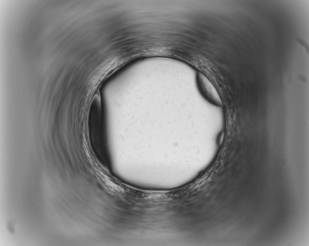 X0000102260145200808151848