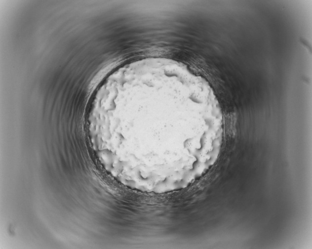 X0000102260147200808151849