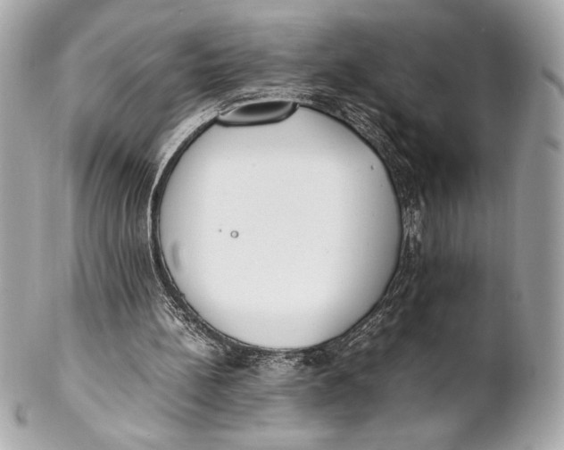 X0000102260148200808151849