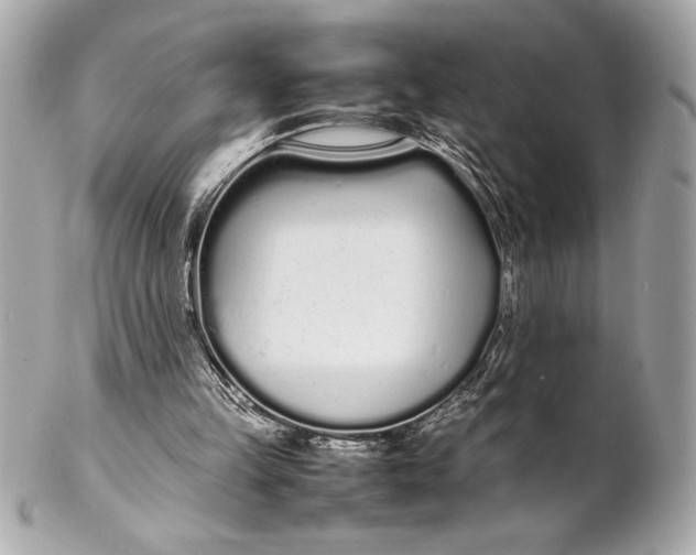 X0000102260149200808151849