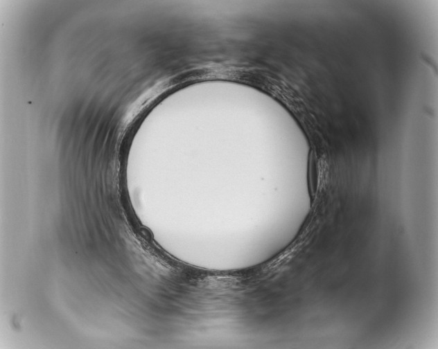 X0000102260150200808151849