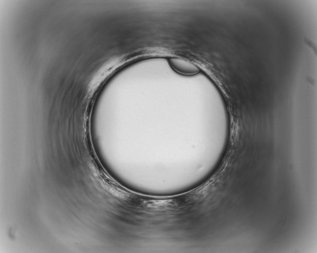 X0000102260151200808151849