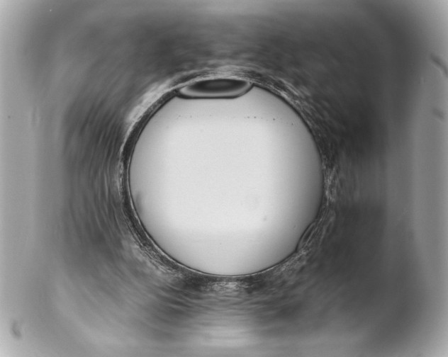 X0000102260152200808151849