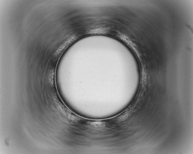 X0000102260153200808151849
