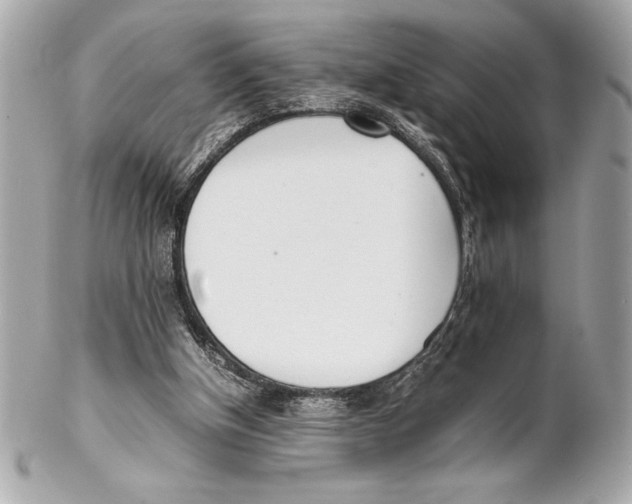 X0000102260154200808151849