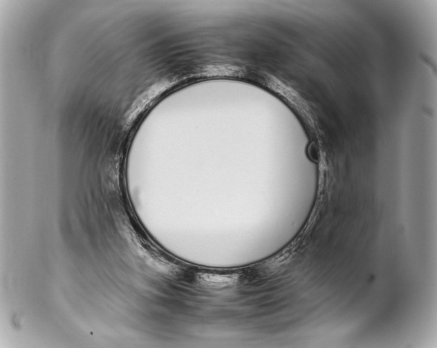 X0000102260155200808151849