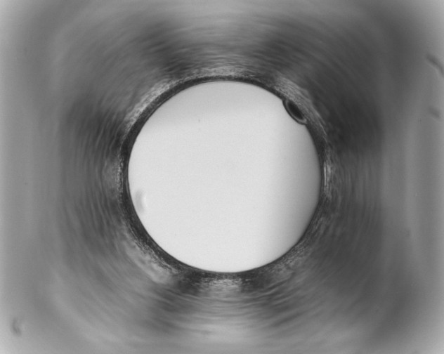 X0000102260156200808151849