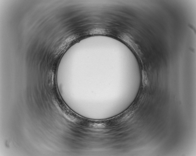 X0000102260157200808151849