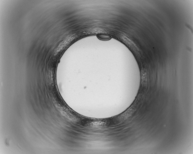 X0000102260158200808151849