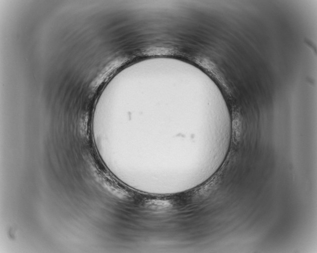 X0000102260159200808151849