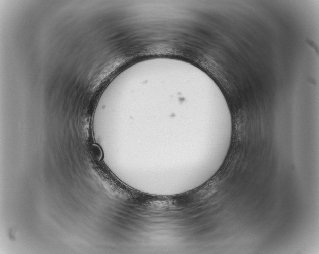 X0000102260160200808151849